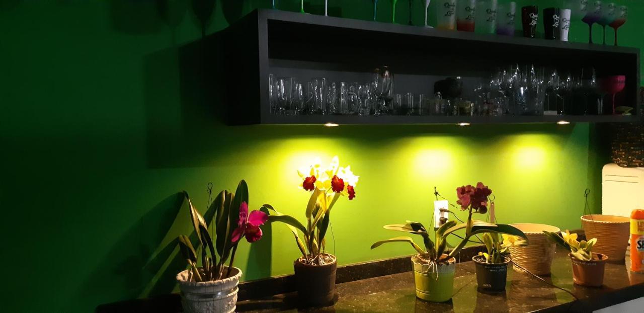 Quinta Do Lapa II Appartement Florianópolis Buitenkant foto